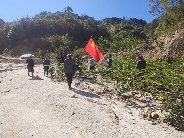 保山市龙陵县龙新乡:全力当好"金山银山"的守护者