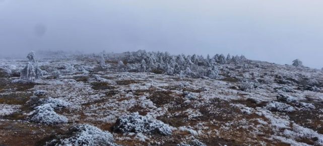 昆明主城会下雪吗?专家解答|轿子雪山|昆明|东川区|雾凇