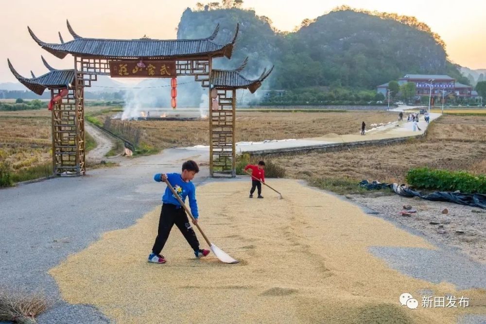 摄影/邹正波/拍摄于新田县七贤山,欧家窝村 稻谷不多的,就在自家口的