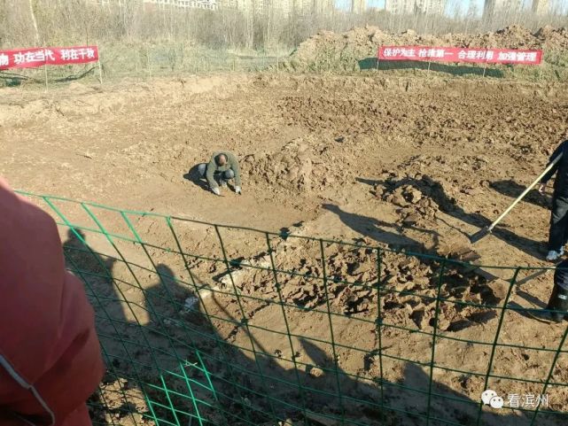 直击滨州鳌头周古墓群挖掘现场:墓葬顶部已露出地面