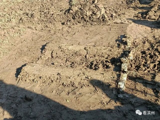 直击滨州鳌头周古墓群挖掘现场:墓葬顶部已露出地面