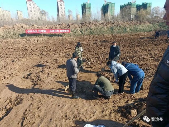 直击滨州鳌头周古墓群挖掘现场:墓葬顶部已露出地面