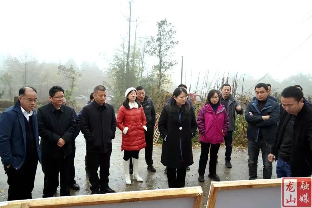 县委副书记,县长时荣芬一行察看八面山索道选址龙山县融媒体中心11月