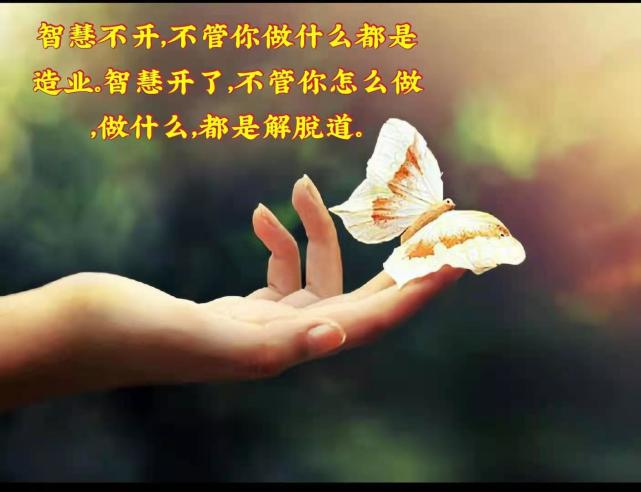 不怨人!