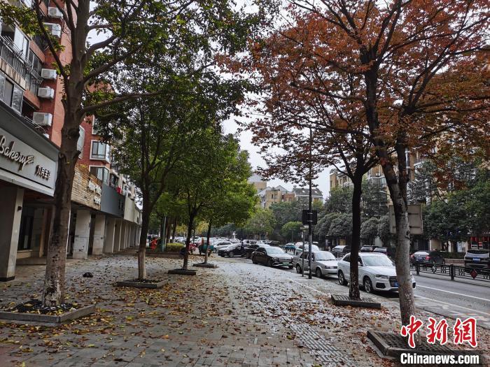 寒潮再度"光临"长三角 多地最低气温跌破冰点