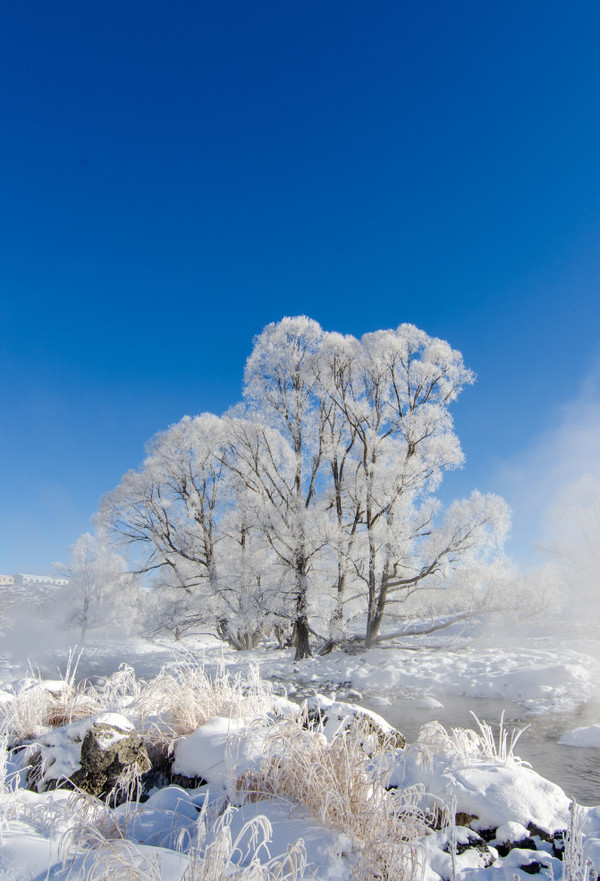 冬之韵雪之魂