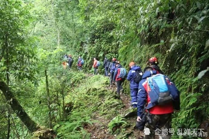 四名哀牢山地质考察人员因何遇难?突发瘴气?猛兽或蛇群攻击?