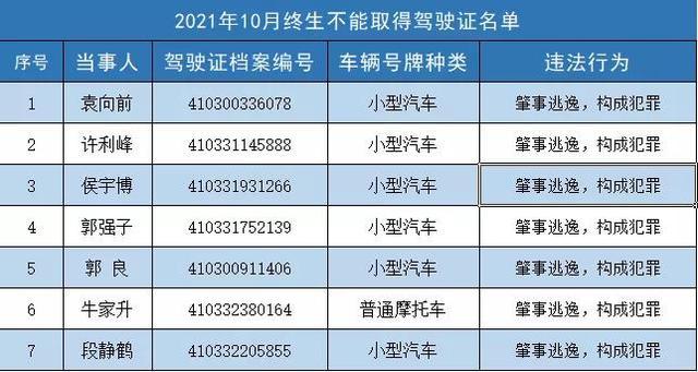 洛阳7人被终生禁驾名单公布终生禁驾会有什么后果