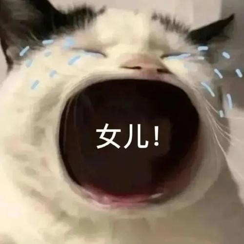 张大嘴等投喂猫咪表情包,妈宝女,爸宝女表情包