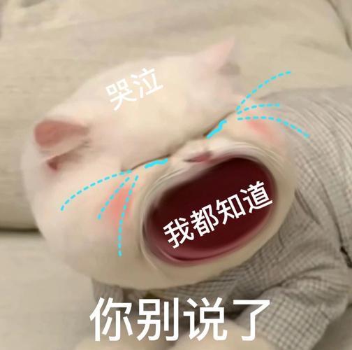 张大嘴等投喂猫咪表情包,妈宝女,爸宝女表情包