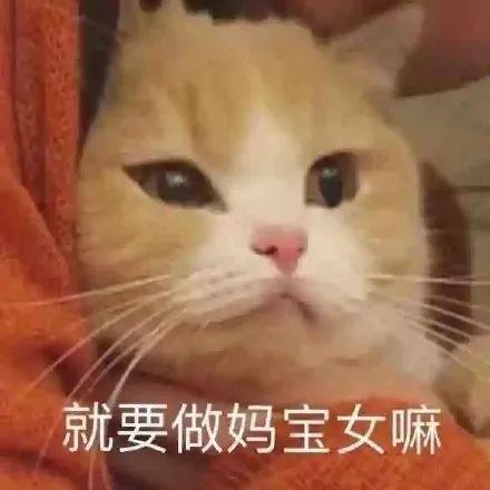 张大嘴等投喂猫咪表情包妈宝女爸宝女表情包