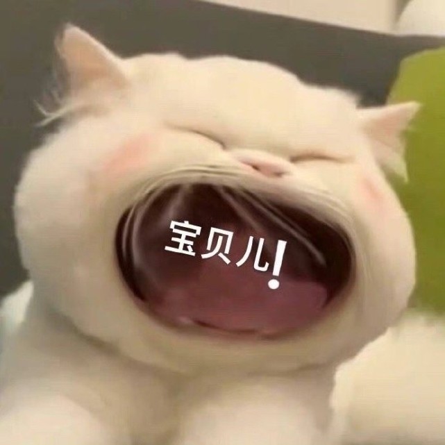 张大嘴等投喂猫咪表情包,妈宝女,爸宝女表情包