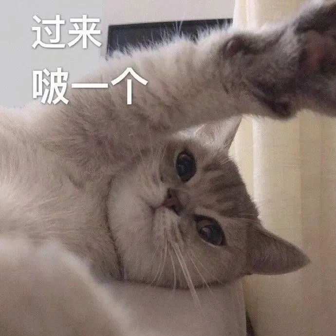情侣必备表情包|你和甜甜的恋爱就差一张表情包的距离