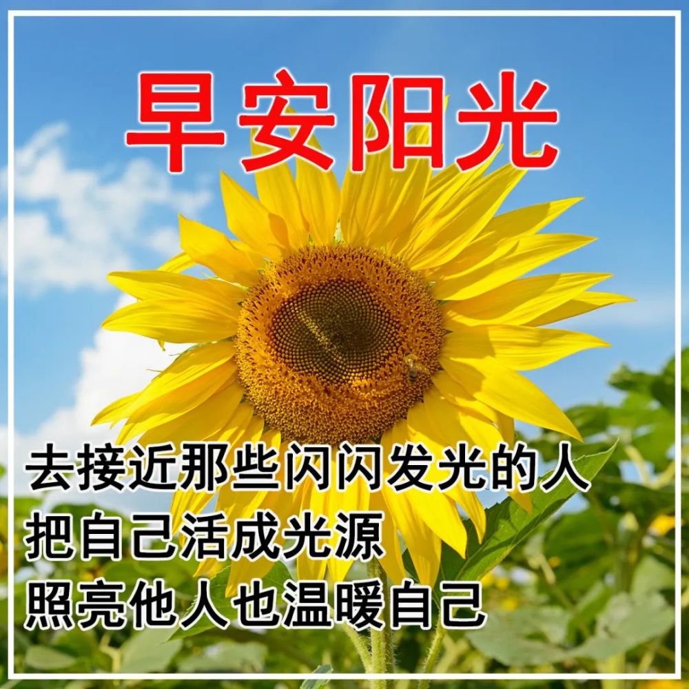 2021年11月24日清晨早上好问候祝福动态表情图片最新早安问候祝福图片