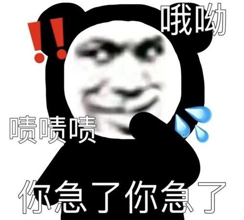 熊猫头表情包你在教我做事