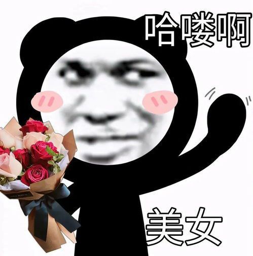 熊猫头表情包你在教我做事