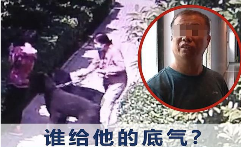 多人被处理!"安阳狗咬人事件"处罚结果出炉,新华社凌晨通报