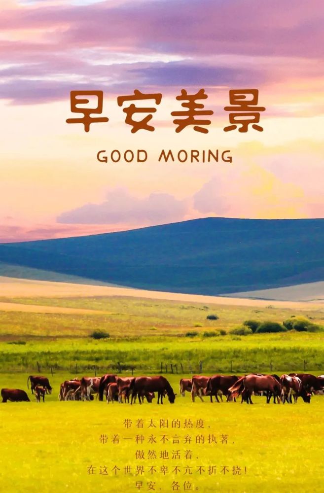 早安发朋友圈正能量语录句子每天努力正能量图片带文字