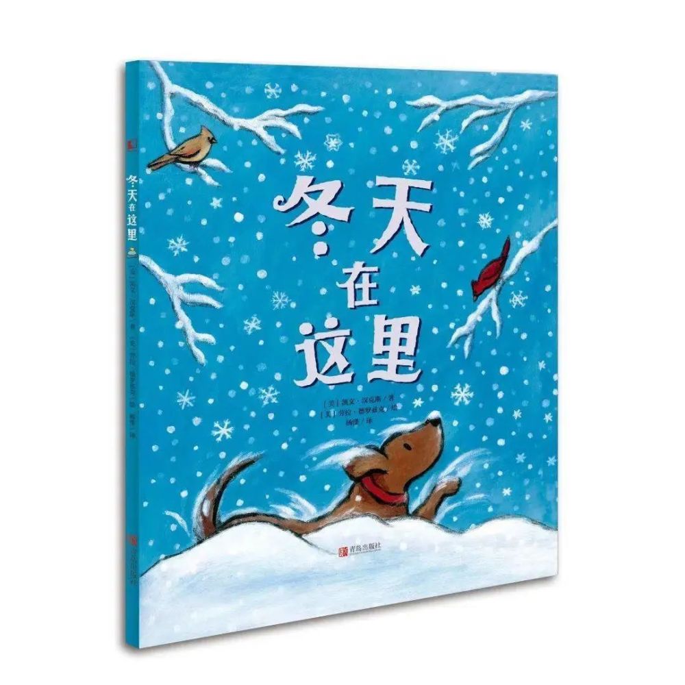 书单|8本超超超超治愈的冬天绘本,哈气,糖葫芦,虫子,雪花……冬天其实