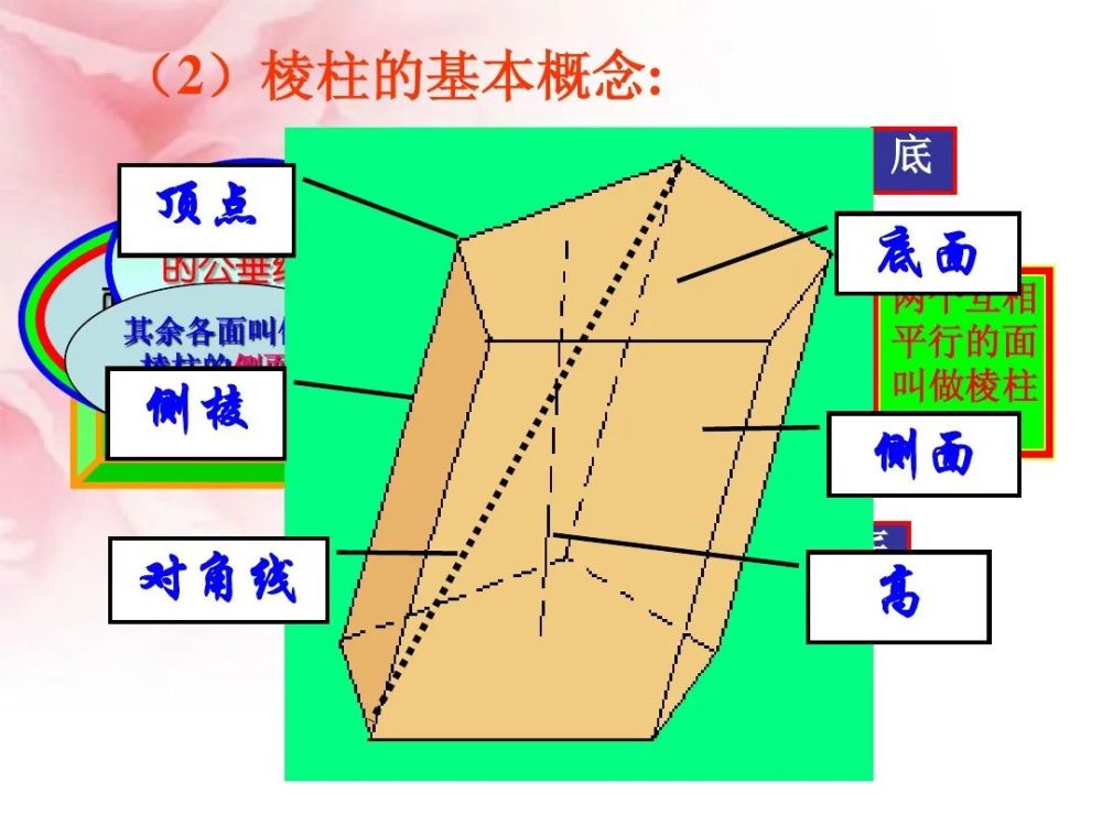 1.3 多面体与棱柱》微课精讲 知识点 教案课件 习题