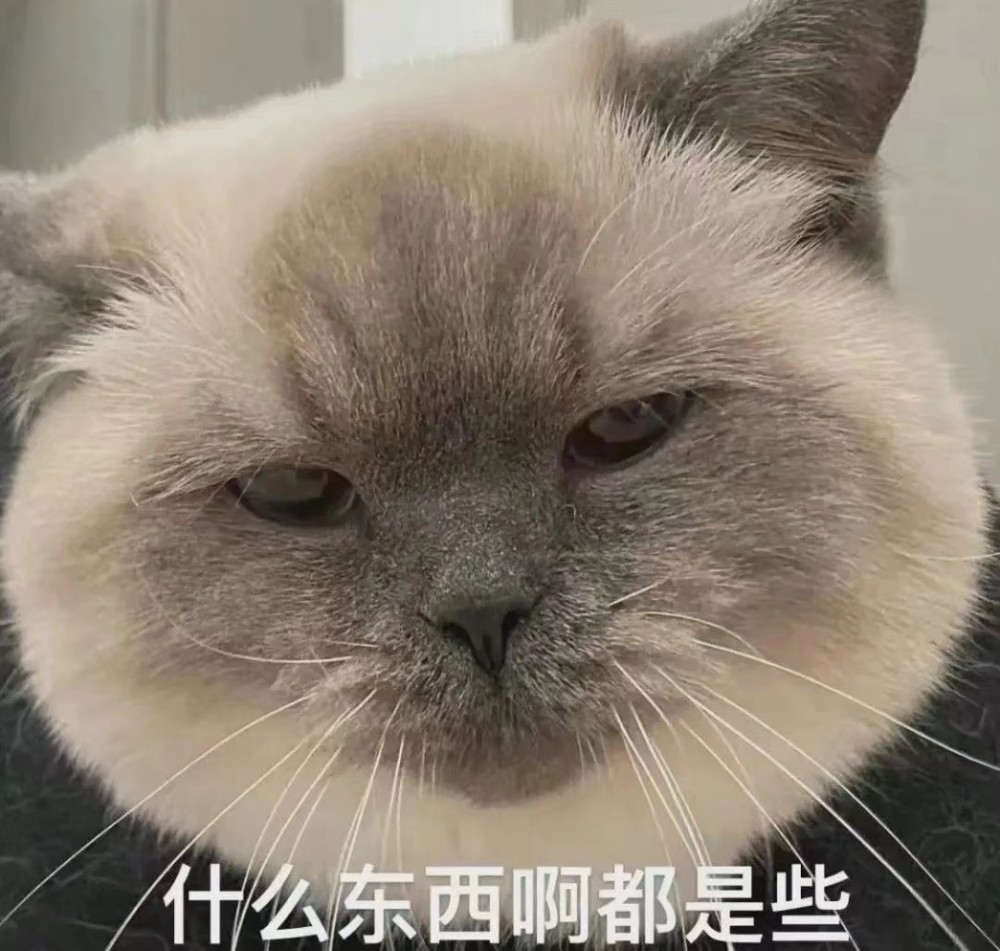 小猫咪表情包丨你有病啊