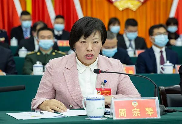 县委各位常委,县人大常委会各位副主任,县人民政府各位副县长,县人民