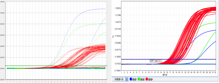 pcr异常扩增曲线案例分析与解决办法盘点