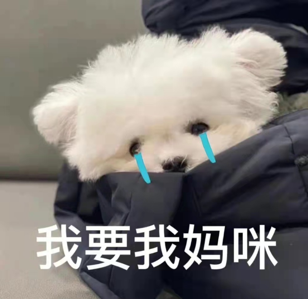 妈宝表情包我想要妈妈