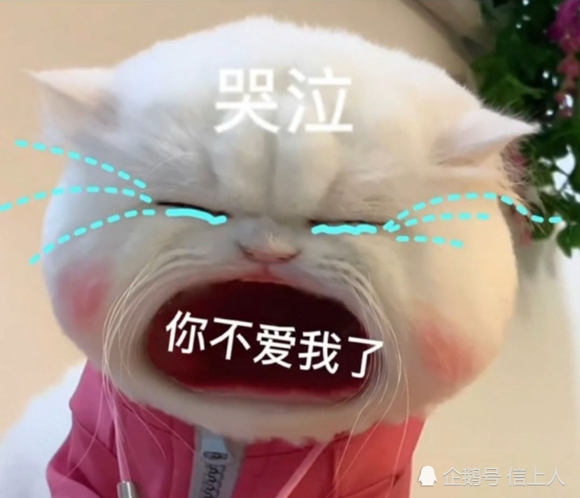 最近很火的无水印妈宝爸宝表情包