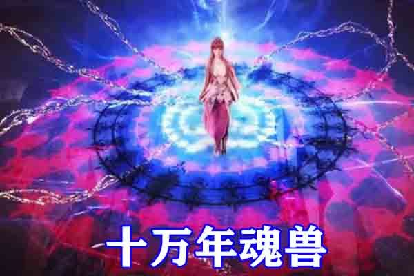 斗罗大陆:十二种魂环公开,十万年魂环附带魂骨和魂技