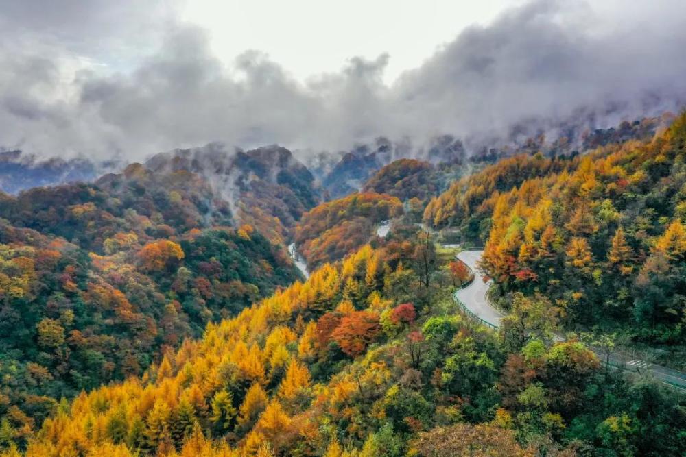 诚挚地欢迎大家到巴中来 品味四季美景,尽享巴城风情!