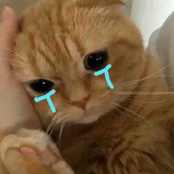 可爱小猫咪流泪表情包