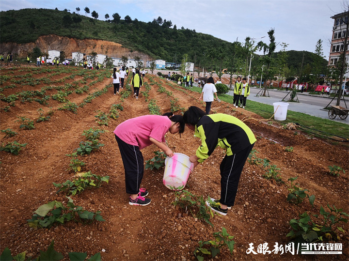 凯里实验高级中学组织学生在学校劳动实践基地种植蔬菜