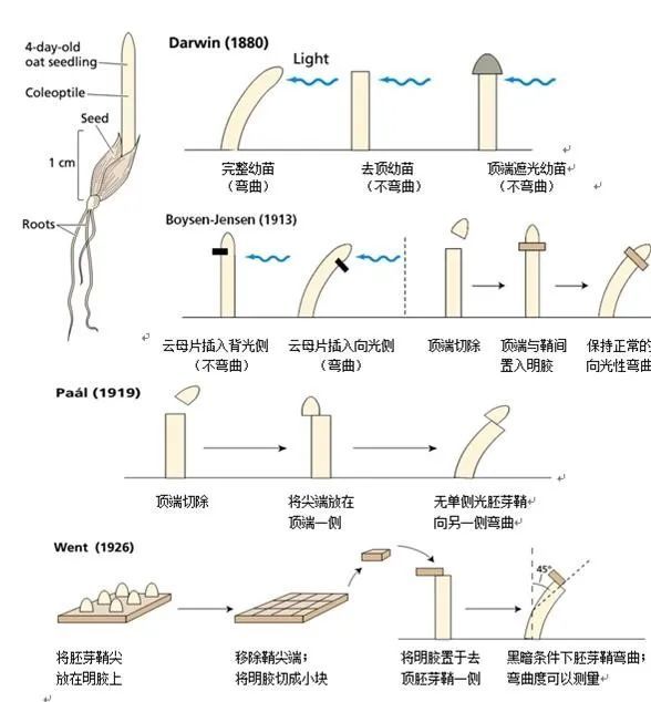 出生于医学世家的达尔文为何成了生物学家?