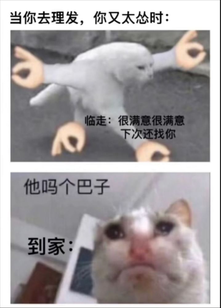 人间真实系列:当我路过一棵树的时候,一定会做的事情