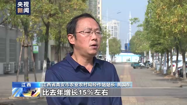江西省高安市农业农村局经作站站长 黄国东 黄国东:今年预计实现茶叶