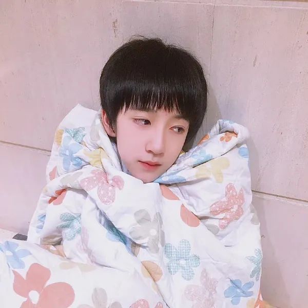 贺峻霖幼崽头像!快码好了!