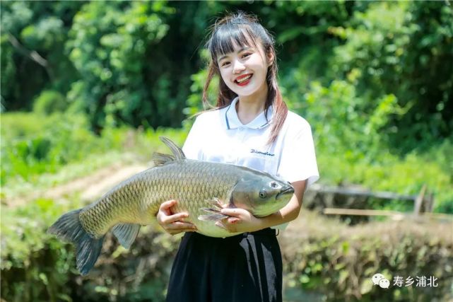 浦北官垌镇"首届官垌鱼美食节"将于11月27日盛大开幕!