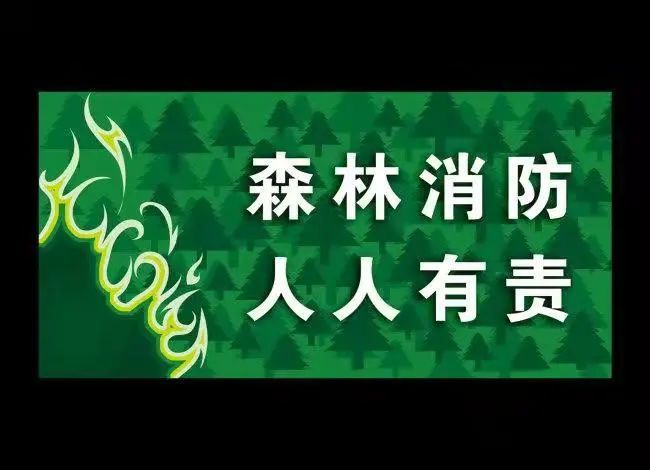 公告‖潼关县教科局关于2021年秋冬季森林防火致全县中小学生及家长的