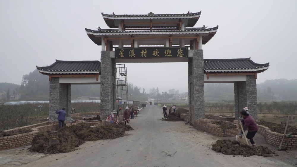 据悉,贵定县沿山镇星溪村除了作为贵州省乡村振兴示范点,还获得中共