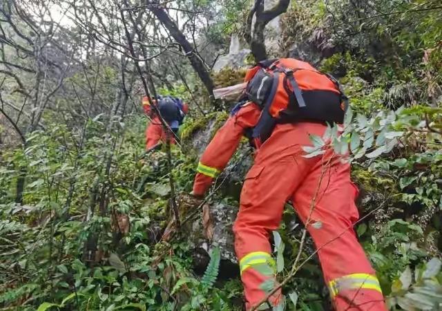 哀牢山事件,地质队人员经历了什么,为何遇难后脸上却