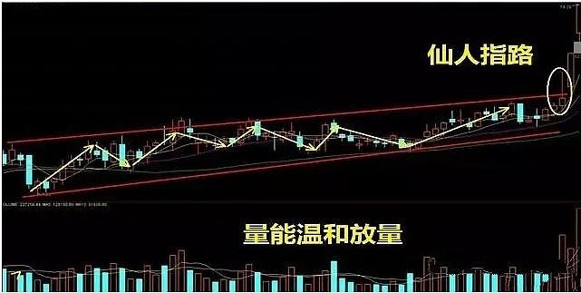 详细剖析经典战法"仙人指路",让交易更加一目了然