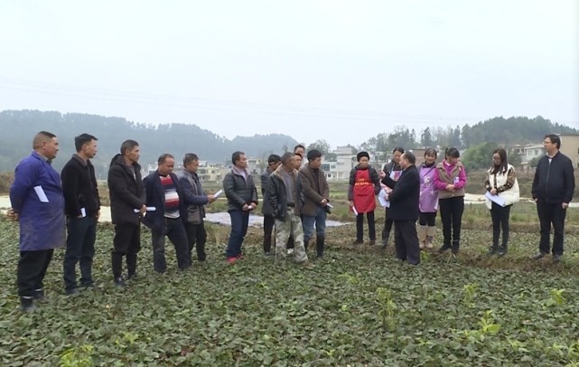 黔南长顺农技服务送下乡田间地头变课堂