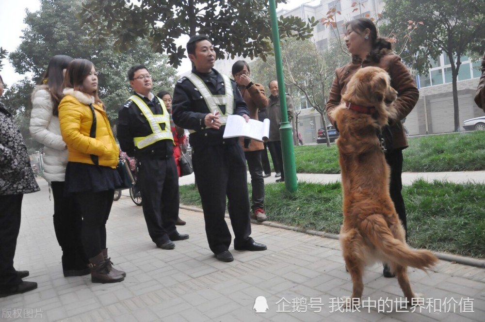 安阳狗咬人事件这就算结束了吗