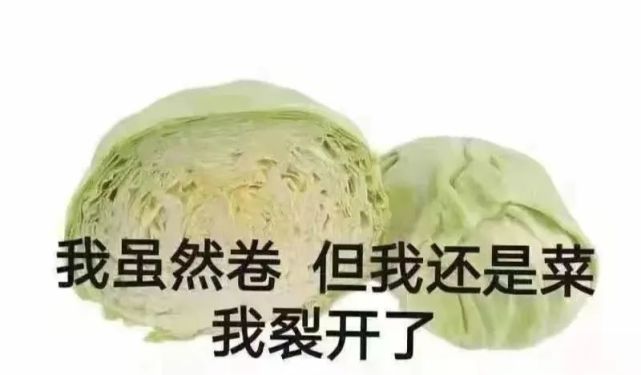 卷王or卷心菜