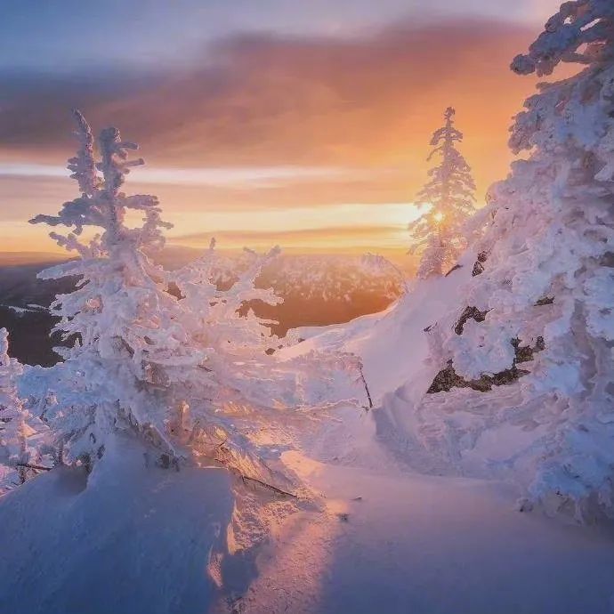 阳光下的雪景