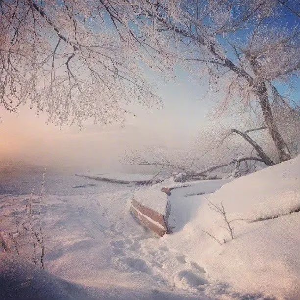 阳光下的雪景