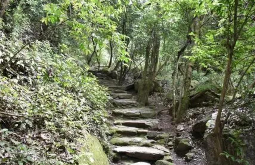 神秘的云南哀牢山传说大山深处藏有宝藏一般人不敢也不想进去