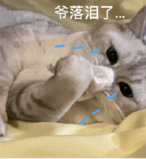 今日热门表情包1124猛猪哭泣对不起我又来要钱了