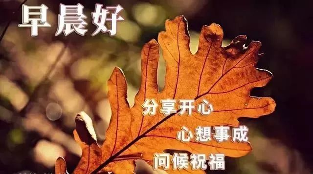 正能量早上好祝福慰问幸福语句配图早安问候祝福语漂亮图片